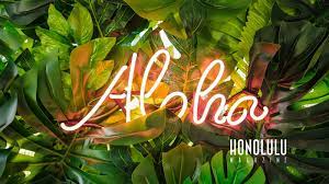 The Best Hawai I Zoom Backgrounds For Your Next Video Calls And Meetings Honolulu Hawaii Hawai