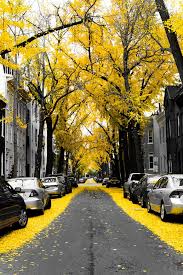 154 Of The World S Most Magical Streets Shaded By Flowers And Trees Pictures Beautiful Places Photography