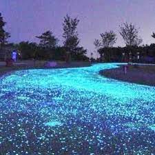 Glow In The Dark Garden Pebbles Outdoor Stone Driveway Backyard Landscaping