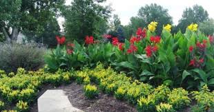 Pin On Landscaping