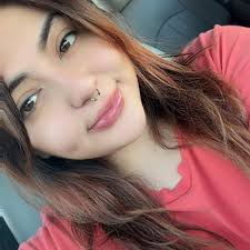 Looking for a male Rottweiler in Dallas?