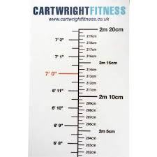 Wall Sticker Height Chart Space Saving And Easy To Read