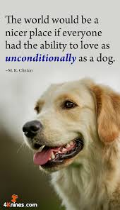 Unconditional Love Inspiration Puppy Quotes Dog Birthday Quotes Dogs
