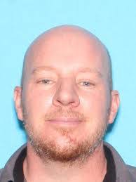 Codie Todd's Instagram, Twitter & Facebook