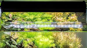 Trocal Led Light By Dennerle Official