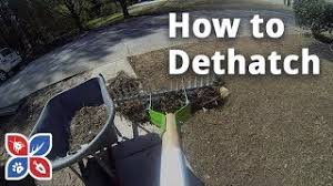How do keep crabgrass out of my lawn? Do My Own Lawn Care Series Domyown Com