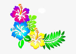 Free printable flower page borders online free printable borders full page 40kb. Flower Border Png Hibiscus Flower Clipart Free Transparent Png Download Pngkey