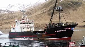 five missing after crab boat sinks in