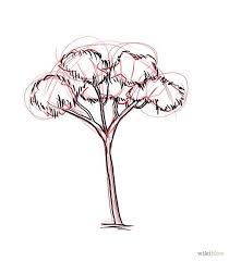 How To Draw A Gum Tree Tree Drawing Drawings Art Drawings Sketches Simple