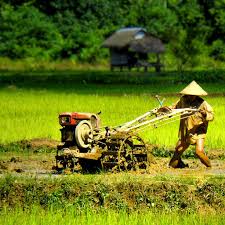 We did not find results for: Mata Pencaharian Atau Pekerjaan Penduduk Pegunungan Siswapelajar Com