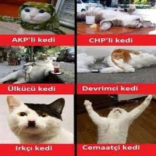 Krize Sokan Kedi Capsleri Kizlarsoruyor 2020 Komik Seyler Komik Komik Alintilar