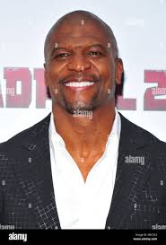 Terry palmer hi-res stock photography and images