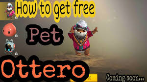 Feel free to browse all our unusual pet names and add the ones you want to save for later to your own favorites. How To Get Ottero Pet Free Freefire Ottero Pet New Youtube
