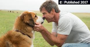From small ones to big ones! A Dog S Purpose Filmmakers Defend Treatment Of Canine Actor The New York Times