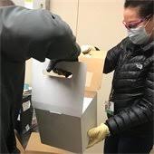Nevada County News 12 18 20