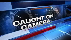 Maybe you would like to learn more about one of these? Couple Shopping With 2 Boys Steals Lawn Mower Pays For Rake With Stolen Credit Card