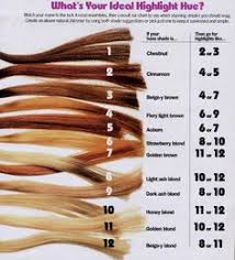 Levels Of Bleached Hair Hair Coloring