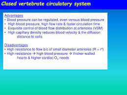Ppt Vertebrate Closed Circulatory Systems Powerpoint Presentation Free Download Id 6199701
