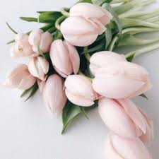 Pin On Wedding Flowers