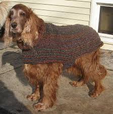 Ravelry Deafsetter S Easy Large Dog Sweater Goruntuler Ile Evcil Hayvan Kiyafetleri Evcil Hayvanlar Kopek