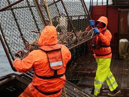 Where to watch 'Deadliest Catch' Season 21, Episode 2 for free on Discovery:  Time, channel, stream - syracuse.com