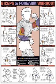 gallery for arm workouts for men chart fitness forearm