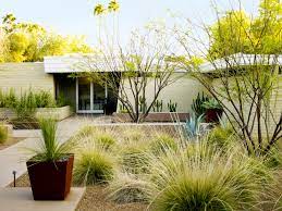 Maybe you would like to learn more about one of these? Desert Landscaping Ideas From A Phoenix Front Yard Sunset Magazine