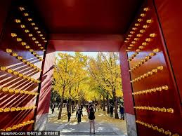 Image result for Ditan