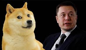 Tesla ceo elon musk is refusing to stop tweeting about dogecoin even amid rumors about the u.s. Why Elon Musk Likes Dogecoin The Meme Cryptocurrency Dogecoin Has By Letknownews Letknownews Medium