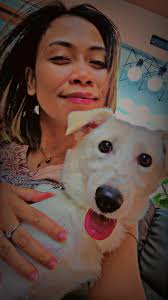 Adopting pet camel and brahma steer in Arizona