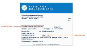 Insurance policy number — you'll need this if and when you file a claim. Insurance Verification