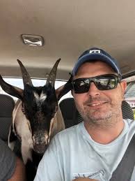 Hillsville, VA Real Estate Agents