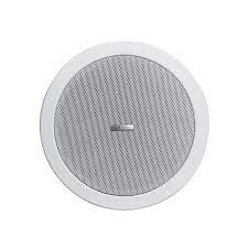 The size of the ceiling speaker depends on your room size, for example: Ben Fellows Ip Network Ceiling Speaker 6inch 15w With Rj45 Network Audio Decoding Digital Amplifier Supports Udp Tcp Protocol In Ceiling Speakers Aliexpress