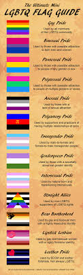 sexuality flags list 9 queer pride flags that you probably