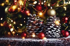 Füllen sie das kleinere gefäß mit kies oder münzen und stellen sie es ins größere. Weihnachtsdeko Selber Machen Aus Naturmaterialien Pineca De