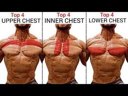 David Calvello (calvello3593)