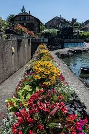 Flowers Yvoire France Beautiful Places To Visit Places To Go Wonders Of The World