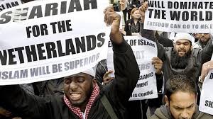 Dutch people gather in Amsterdam mosque to show support for Muslims - Pars Today