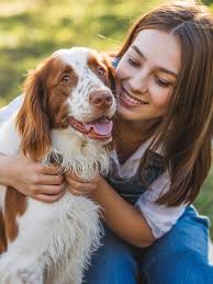 When your poodle wakes you up at 3AM… just to confirm he's still a good boy  🐩💭🌙