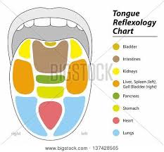 Tongue Diagnosis Vector Photo Free Trial Bigstock