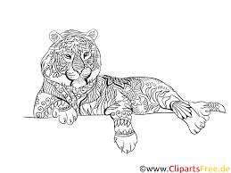 Malvorlagen Tiger Kostenlos Ausdrucken Coloring And Malvorlagan