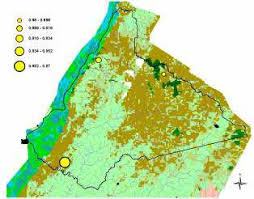 Image result for Lindackeria bukobensis