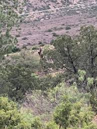 Check spelling or type a new query. Chisos Mountains Lodge Big Bend National Park Home Facebook