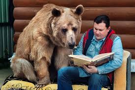 Russian Family Sit Down To Dinner With A 300lb Bear At The Table Brown Bear Pet People Unusual Animals