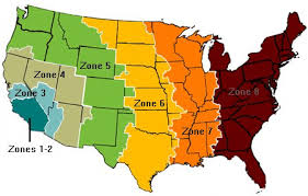 73 Exhaustive Usps Zip Code Zone Chart