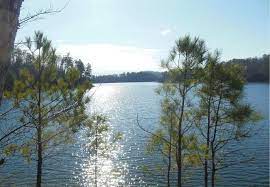 Longwood park · north bend park · buffalo park · rudds creek campground. Army Corp Of Engineers Campgrounds Camping For Lake Lovers Embracing The Wind
