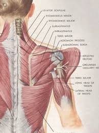 Pin On Frozen Shoulder Upper Back Pain