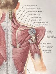 Click here to read about mesothelioma and its differential diagnosis and mesothelioma treatments. Pin On Frozen Shoulder Upper Back Pain