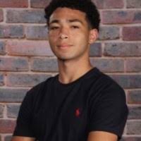 500+ "Hurvitz" profiles