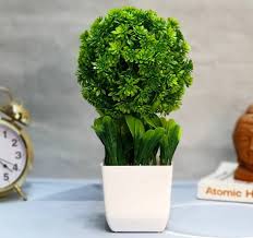 Most of us know what we love but not why. Artificial Plants Buy Artificial Plants Online Starting At Rs 89 In India Flipkart Com